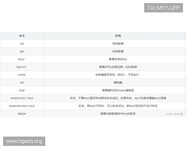 全面解析cmd368 bet：平台优势与投注指南